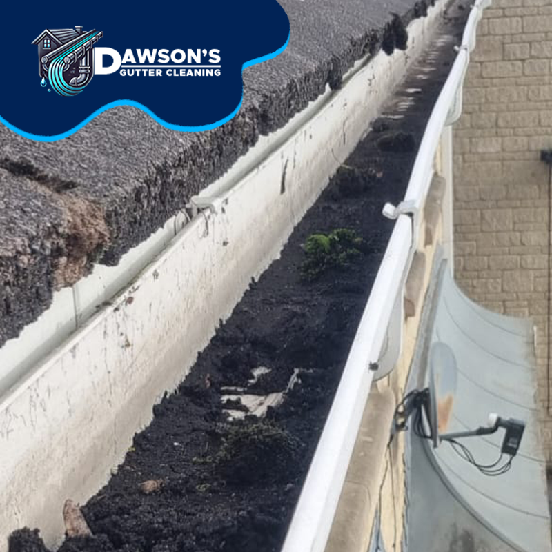 An ad of Dawson's Gutter Cleaning before photo of a blocked gutter