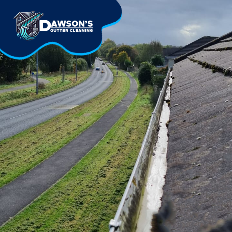 An ad of Dawson's Gutter Cleaning showcasing gutter clearing