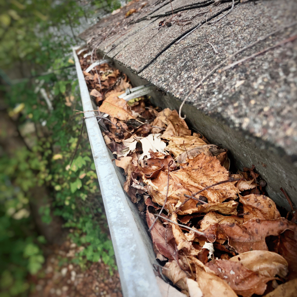 An image of a gutter full of dried leaves.