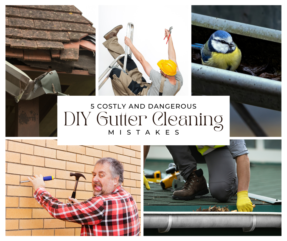 5 Costly & Dangerous DIY Gutter Cleaning Mistakes (And How to Avoid Them)