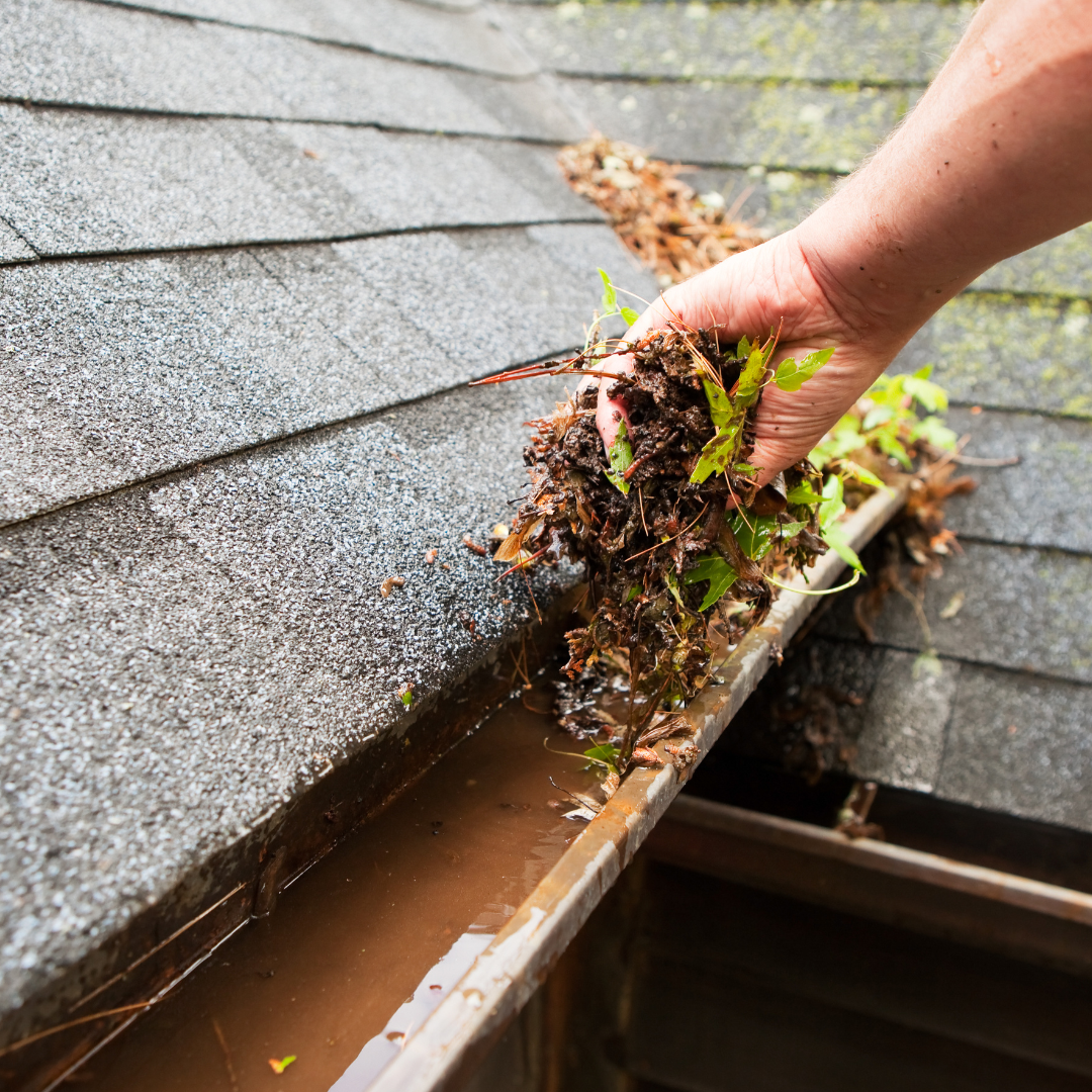 An image of blocked gutters