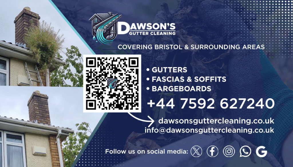An image of Dawson's Gutter Cleaning Business Card