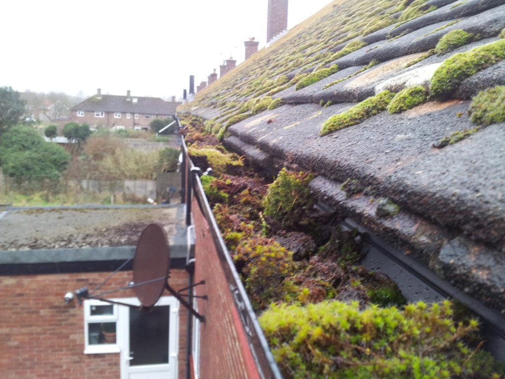 An image of blocked gutters due to moss