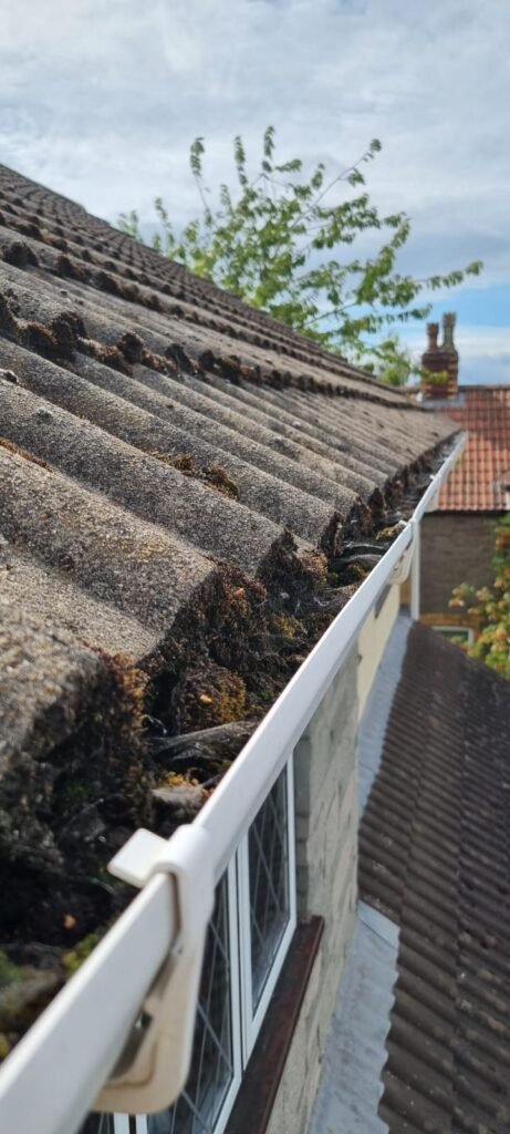 An image of a clogged residential gutter